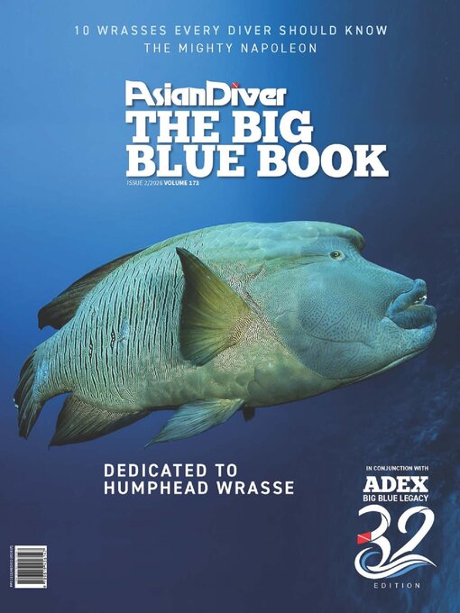 Cover image for Scuba Diver/Asian Diver